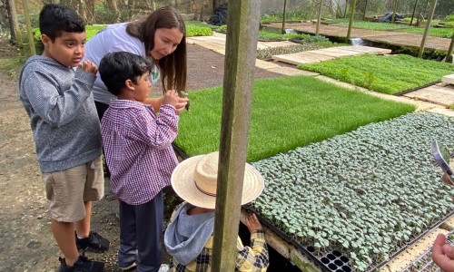 Crianças participam de vivência terapêutica na zona rural em ação da Prefeitura de VR